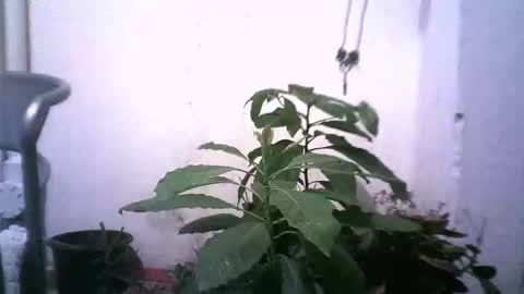 Snapshot of keny06 chatting on 12/31/24, 04:49 keny06 online show from 12/31/24, 04:49