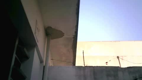 Snapshot of keny06 chatting on 02/04/25, 07:55 keny06 online show from 02/04/25, 07:55