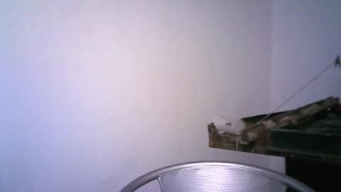 Snapshot of keny06 chatting on 02/12/25, 03:51 keny06 online show from 02/12/25, 03:51