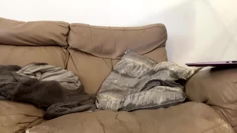 kevfromchat online show from 01/08/25, 01:31