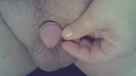 maggot online show from 12/21/24, 03:25