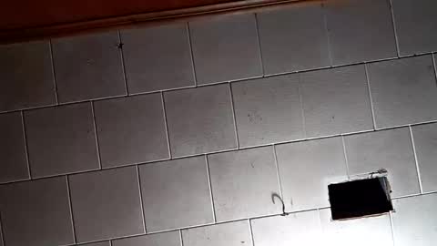 kfrost380 online show from 10/26/25, 09:31