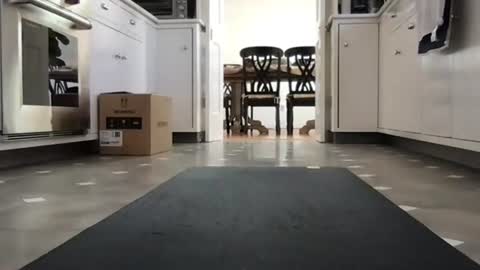 Kicknbutt online show from 02/26/26, 08:52