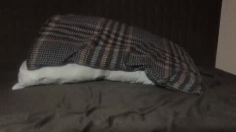 kiki3526 online show from 03/12/26, 08:48