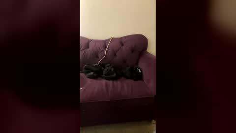 kingecstasyxxxddd online show from 03/08/26, 08:29