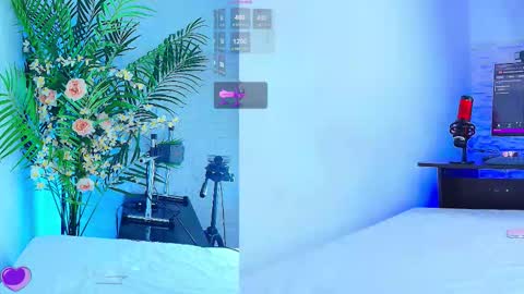    online show from 11/12/25, 12:11