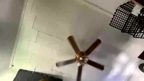 Kinky Cassie online show from 04/27/26, 08:29