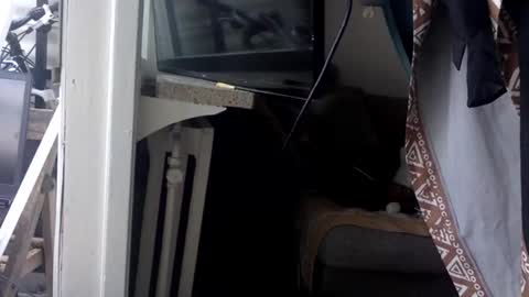 Snapshot of kinkysecretdesire chatting on 05/21/26, 03:30 Kinky Himeros online show from 05/21/26, 03:30