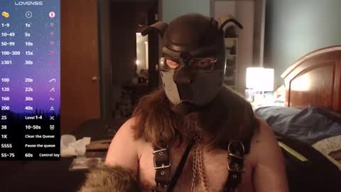 Snapshot of kinkywolf87 chatting on 01/15/25, 01:02 kinkywolf87 online show from 01/15/25, 01:02