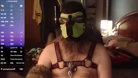 Snapshot of kinkywolf87 chatting on 05/08/26, 12:27 kinkywolf87 online show from 05/08/26, 12:27