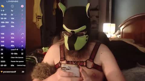 Snapshot of kinkywolf87 chatting on 06/09/26, 11:49 kinkywolf87 online show from 06/09/26, 11:49