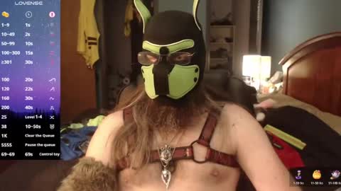 Snapshot of kinkywolf87 chatting on 06/12/26, 06:40 kinkywolf87 online show from 06/12/26, 06:40