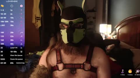 Snapshot of kinkywolf87 chatting on 06/14/26, 03:08 kinkywolf87 online show from 06/14/26, 03:08