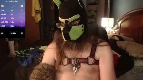 Snapshot of kinkywolf87 chatting on 06/14/26, 10:23 kinkywolf87 online show from 06/14/26, 10:23