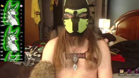 Snapshot of kinkywolf87 chatting on 06/29/26, 07:14 kinkywolf87 online show from 06/29/26, 07:14