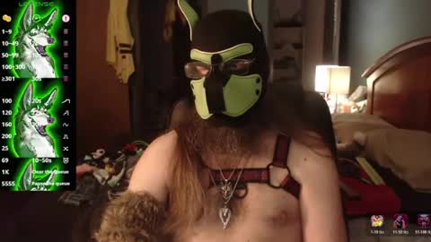 Snapshot of kinkywolf87 chatting on 07/02/26, 12:10 kinkywolf87 online show from 07/02/26, 12:10