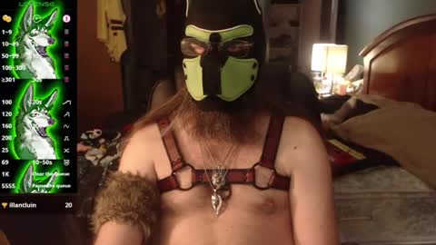 Snapshot of kinkywolf87 chatting on 07/03/26, 12:06 kinkywolf87 online show from 07/03/26, 12:06