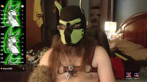 Snapshot of kinkywolf87 chatting on 07/03/26, 04:46 kinkywolf87 online show from 07/03/26, 04:46