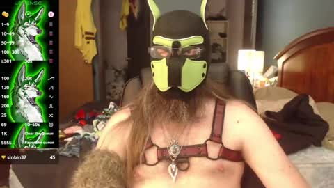 Snapshot of kinkywolf87 chatting on 07/08/26, 07:29 kinkywolf87 online show from 07/08/26, 07:29