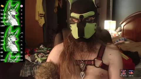 Snapshot of kinkywolf87 chatting on 07/10/26, 03:47 kinkywolf87 online show from 07/10/26, 03:47