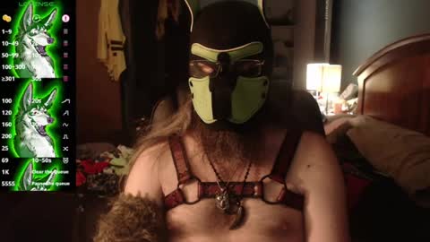 Snapshot of kinkywolf87 chatting on 07/18/26, 03:00 kinkywolf87 online show from 07/18/26, 03:00