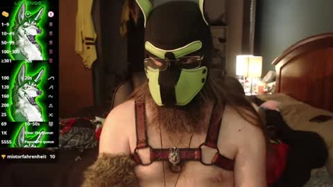Snapshot of kinkywolf87 chatting on 07/20/26, 03:47 kinkywolf87 online show from 07/20/26, 03:47