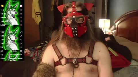 Snapshot of kinkywolf87 chatting on 07/22/26, 04:54 kinkywolf87 online show from 07/22/26, 04:54