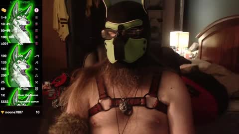 Snapshot of kinkywolf87 chatting on 07/24/26, 04:43 kinkywolf87 online show from 07/24/26, 04:43
