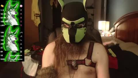 Snapshot of kinkywolf87 chatting on 07/29/26, 04:05 kinkywolf87 online show from 07/29/26, 04:05