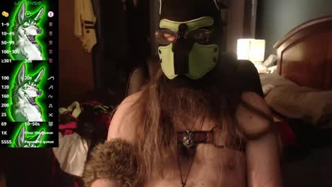 Snapshot of kinkywolf87 chatting on 08/03/26, 04:55 kinkywolf87 online show from 08/03/26, 04:55