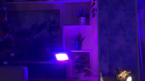 Snapshot of kiralilime chatting on 02/16/25, 04:42 Kira online show from 02/16/25, 04:42