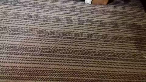 kis4kum online show from 04/21/26, 10:21