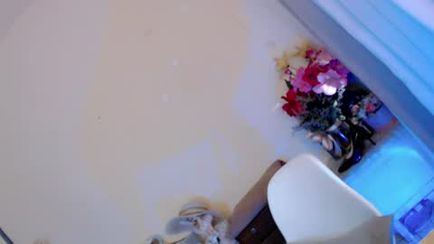 Snapshot of kissmebetter chatting on 06/29/26, 12:06 Saint Onicka online show from 06/29/26, 12:06