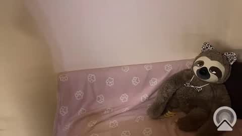 kitiket1 online show from 02/11/25, 05:40