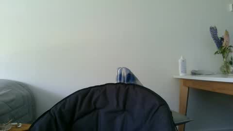 Snapshot of kitosssss chatting on 12/11/24, 03:37 Steve Cocks online show from 12/11/24, 03:37