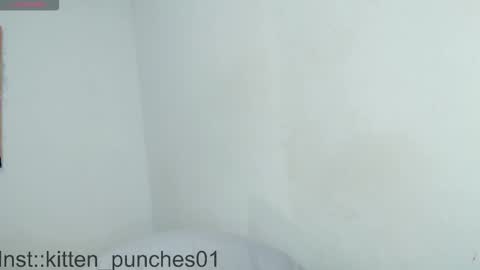 kitten_punches02 online show from 11/01/25, 03:08