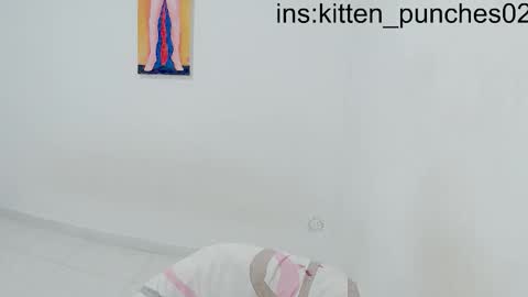 kitten_punches02 online show from 01/11/26, 11:32