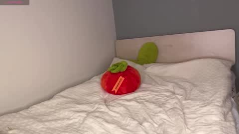 kit online show from 09/23/25, 08:50