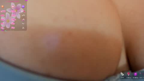 kitten online show from 01/13/26, 08:47