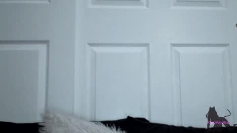 Kitti online show from 11/11/25, 07:52