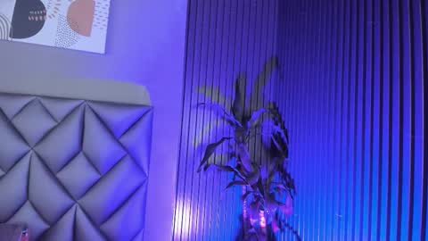   online show from 11/12/25, 09:14