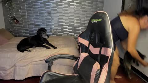 violet online show from 09/15/25, 05:07