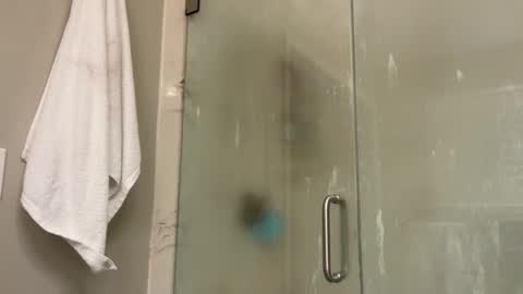 kittypurr79 online show from 01/02/25, 12:02