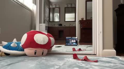 kittypurr79 online show from 01/11/25, 09:04