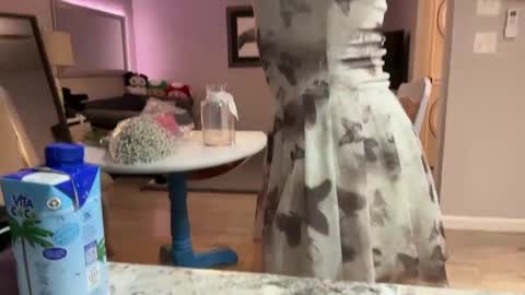 kittypurr79 online show from 09/30/25, 03:11