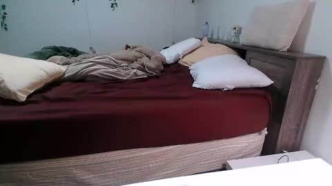 Kittyymaze online show from 12/18/25, 12:44