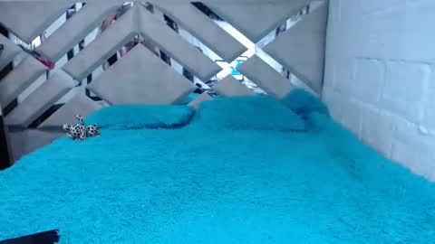 kittyzevee_ online show from 02/08/25, 01:11