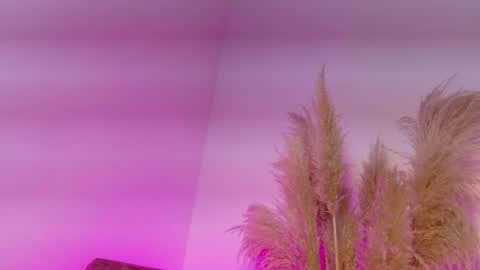 Kitty Hill online show from 01/12/26, 04:18