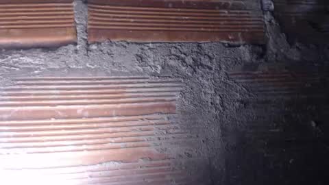 MARI -- ----   transmission forever today 10 pm time  colombia online show from 12/04/24, 05:49