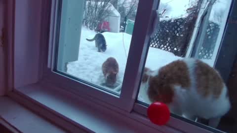 kiveuxmakeu online show from 12/27/24, 09:11